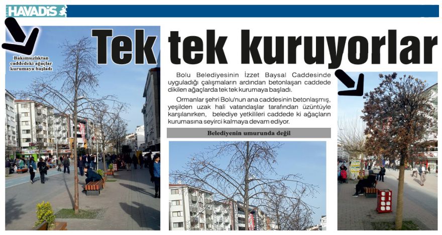Tek tek kuruyorlar