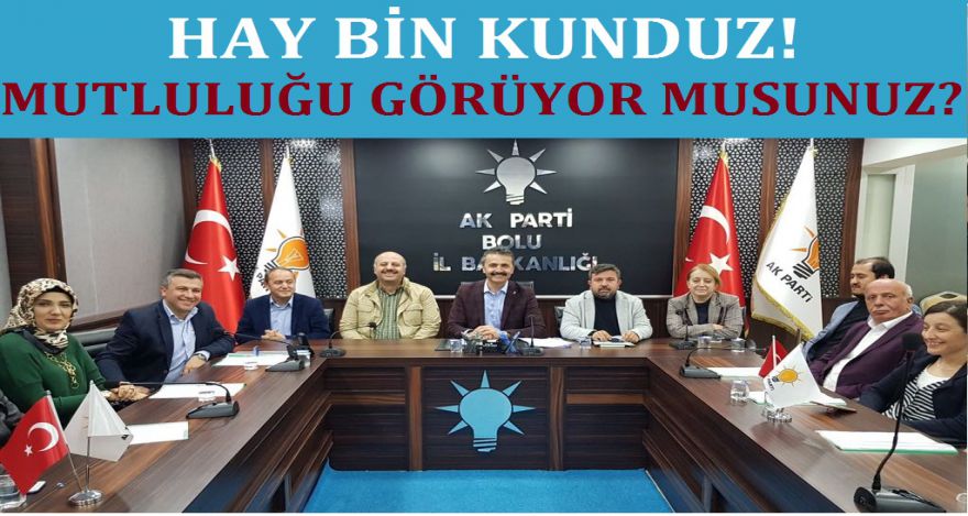 SİYASET BÖYLE BİR ŞEY!