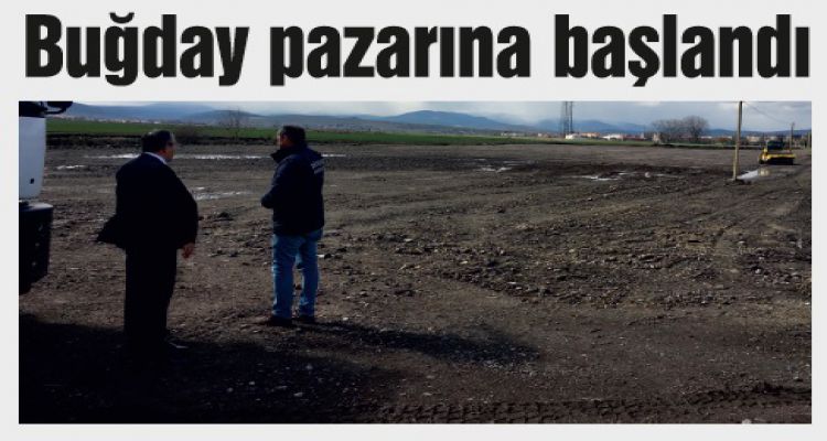 Buğday pazarına başlandı