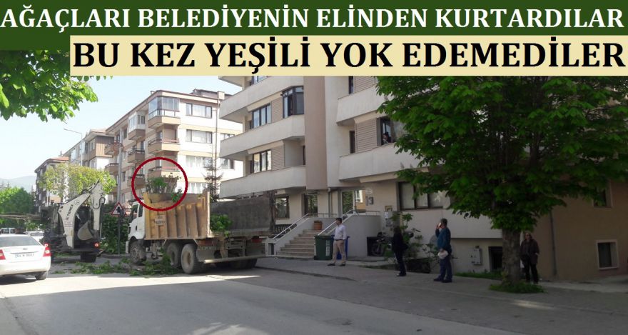 VATANDAŞLAR AĞAÇLARI BELEDİYENİN ELİNDEN KURTARDI