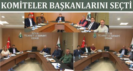 KOMİTELER BAŞKANLARINI SEÇTİ 