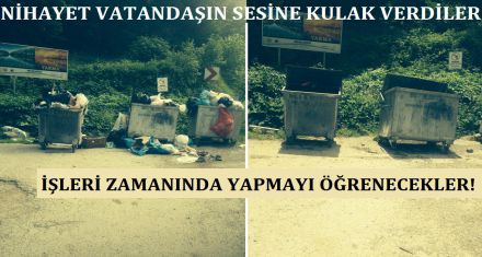 DOĞANIN ÇIĞLIĞINI NİHAYET DUYDULAR