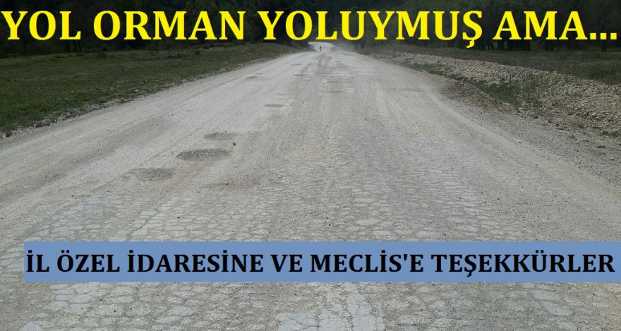 YOL ORMAN YOLUYMUŞ AMA…