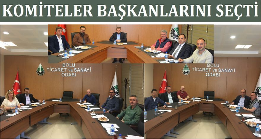 KOMİTELER BAŞKANLARINI SEÇTİ