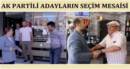 Ak Partili adayların seçim mesaisi 