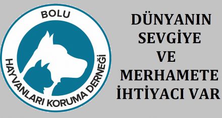 DÜNYANIN SEVGİYE VE MERHAMETE İHTİYACI VAR