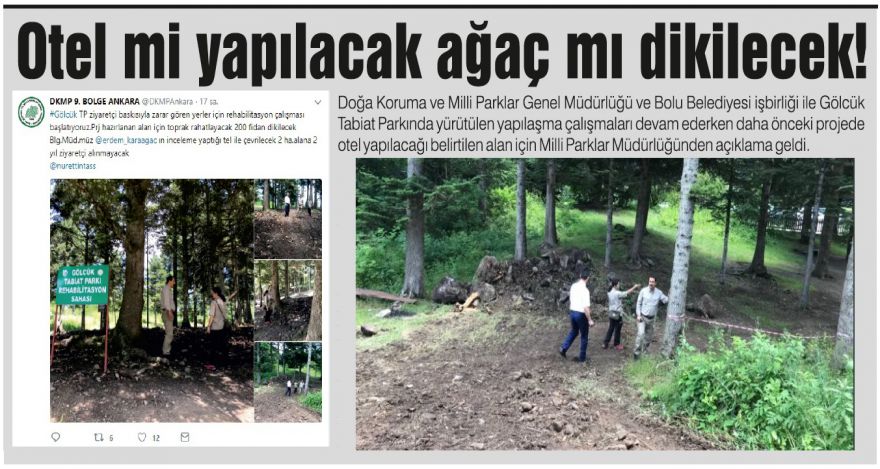 Otel mi yapılacak ağaç mı dikilecek!
