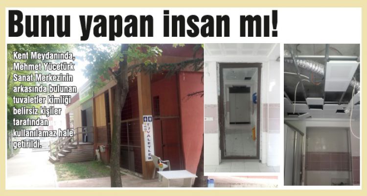Bunu yapan insan mı!