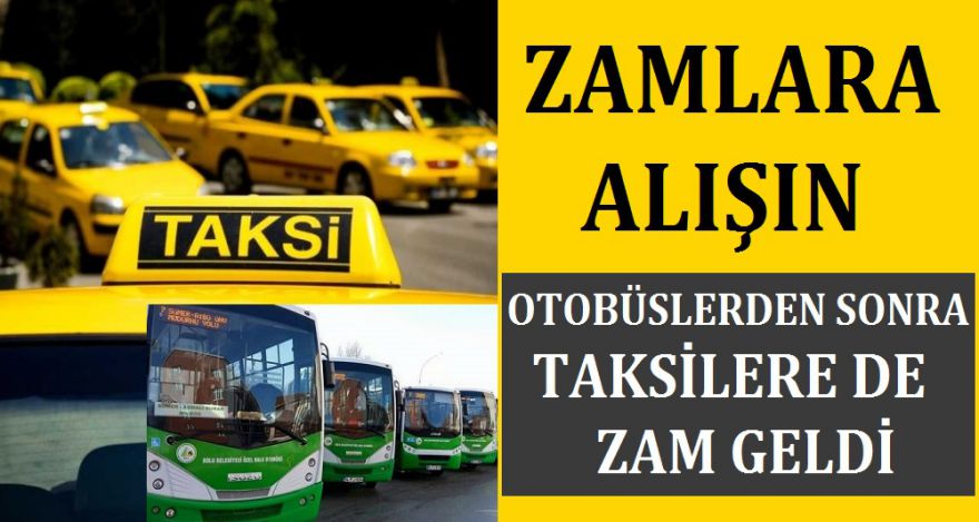 ZAMLARA ALIŞIN