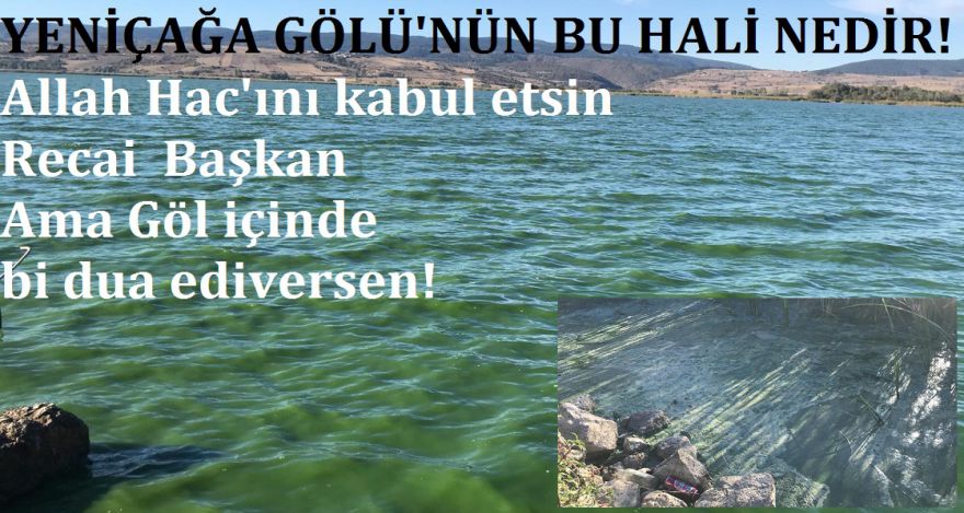 YENİÇAĞA GÖLÜNÜN HALİ NE BÖYLE