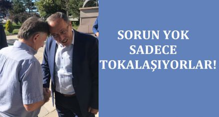 SORUN YOK SADECE TOKALAŞIYORLAR!
