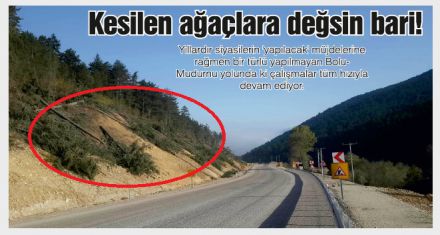 Kesilen ağaçlara değsin bari!