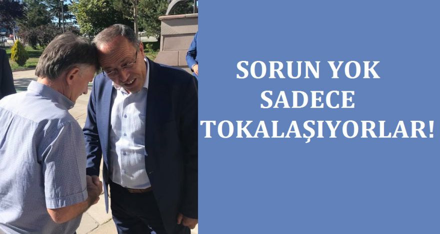 SORUN YOK SADECE TOKALAŞIYORLAR!