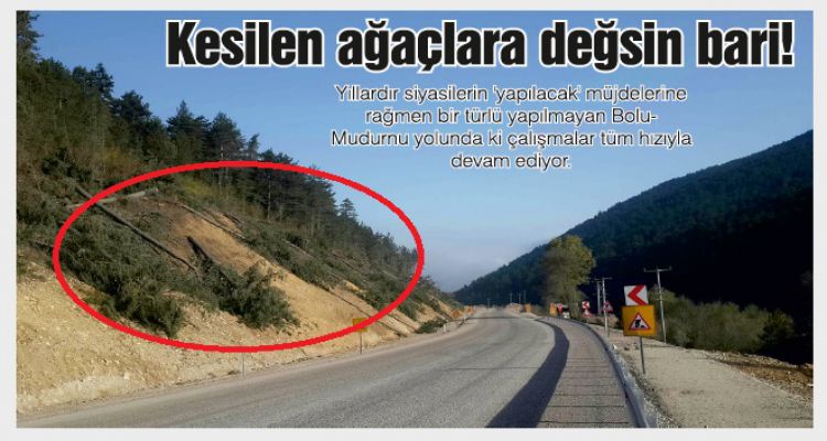 Kesilen ağaçlara değsin bari!