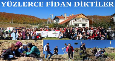 Yüzlerce Fidan Diktiler
