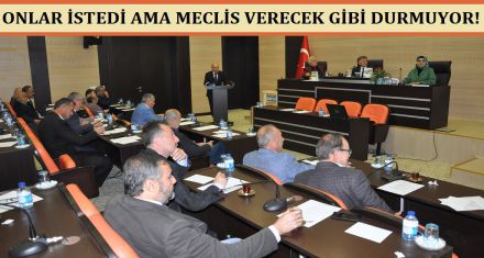 ONLAR İSTEDİ AMA MECLİS VERİR Mİ BİLİNMEZ!
