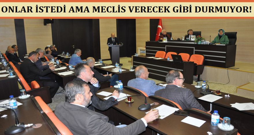 ONLAR İSTEDİ AMA MECLİS VERİR Mİ BİLİNMEZ!