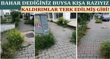 BAHAR DEDİĞİNİZ BUYSA KIŞA RAZIYIZ!