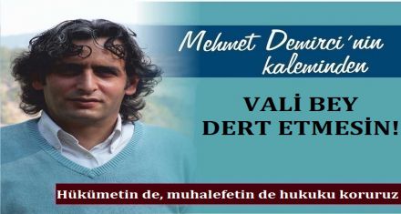 VALİ BEY DERT ETMESİN!
