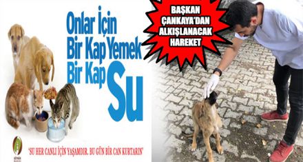 BAŞKAN ÇANKAYA'DAN ALKIŞLANACAK HAREKET 