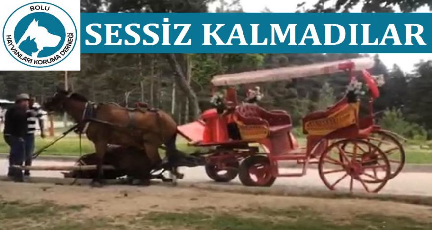 O GÖRÜNTÜLERE DUYARSIZ KALMADILAR