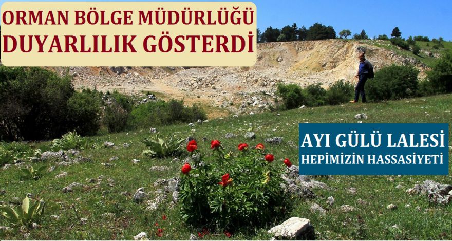 ORMAN BÖLGE MÜDÜRLÜĞÜ DUYARLILIK GÖSTERDİ