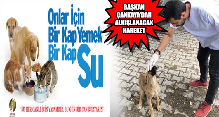BAŞKAN ÇANKAYA'DAN ALKIŞLANACAK HAREKET
