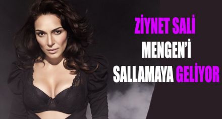 ZİYNET SALİ GELİYOR