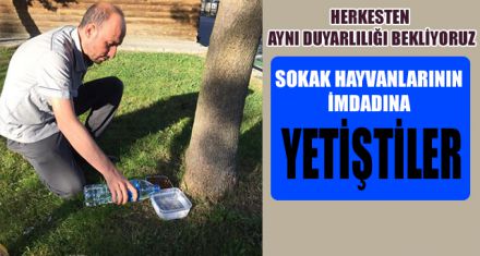 SOKAK HAYVANLARININ İMDADINA YETİŞTİLER