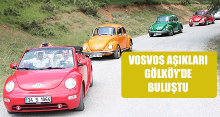 VOSVOS AŞIKLARI GÖLKÖY'DE BULUŞTU