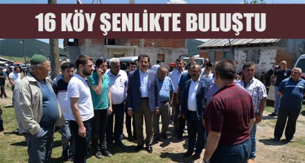 16 KÖY ŞENLİKTE BULUŞTU 