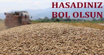 HASADINIZ BOL OLSUN