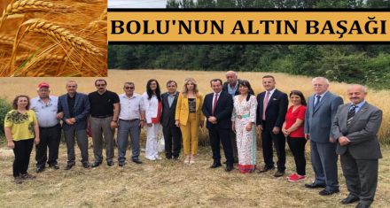 BOLU'NUN ALTIN BAŞAĞI 