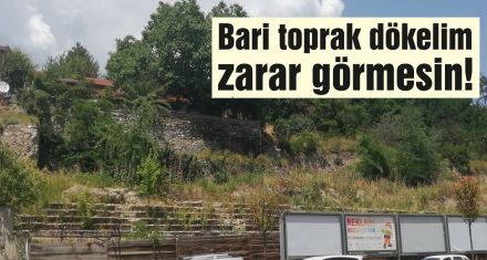 Bari toprak dökelim zarar görmesin!