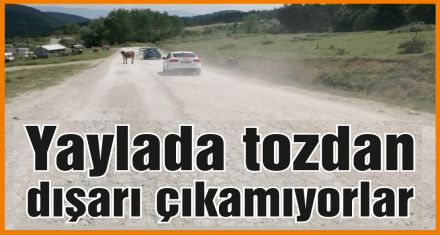 Bu yolu yapın artık!