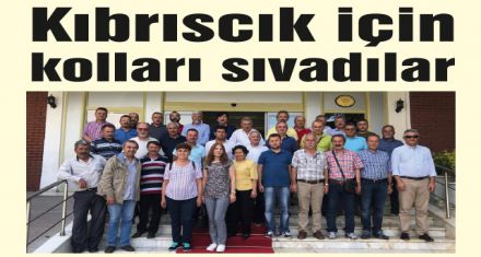 Kıbrıscık için kolları sıvadılar