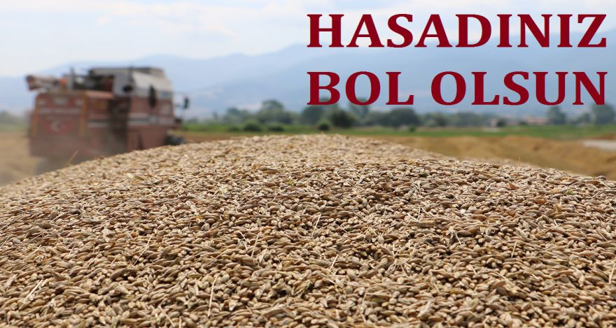 HASADINIZ BOL OLSUN