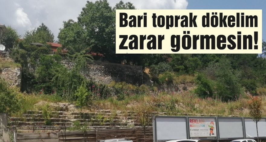 Bari toprak dökelim zarar görmesin!