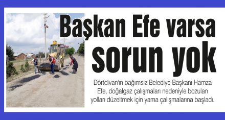 Başkan Efe varsa sorun yok
