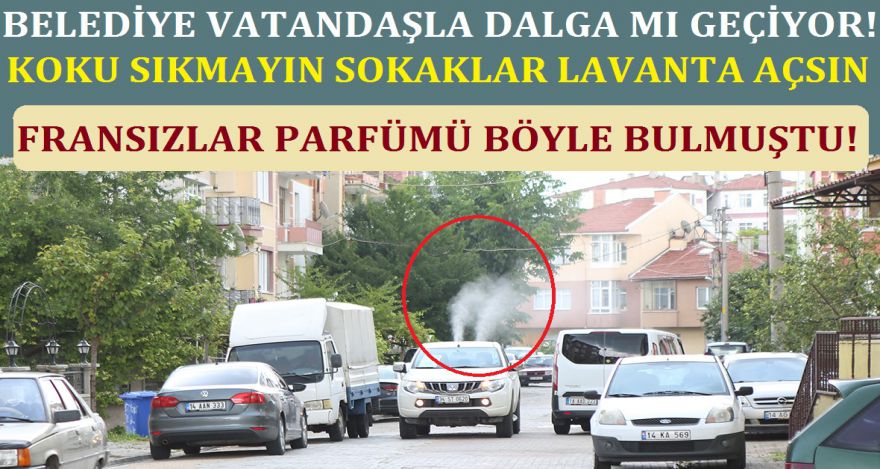 LAVANTA KOKUSU SIKMAYIN  SOKAKLAR LAVANTA AÇSIN!