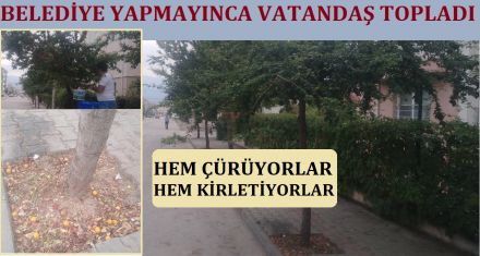 BELEDİYE TOPLAMAYINCA VATANDAŞ TOPLADI