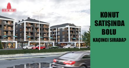 BOLU'DA KAÇ KONUT SATILDI?