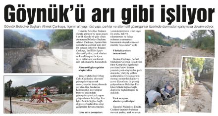 Göynük'ü arı gibi işliyor 