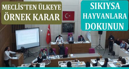 MECLİS'TEN TÜM TÜRKİYE'YE ÖRNEK KARAR