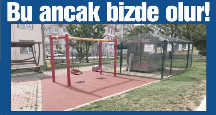 Yaklaşmak yasak ama çocuklar oynayabilir!