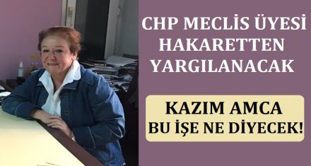 CHP MECLİS ÜYESİNE HAPİS İSTEMİ 
