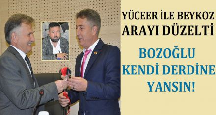 BUZLAR ERİDİ BOZOĞLU NE YAPACAK!
