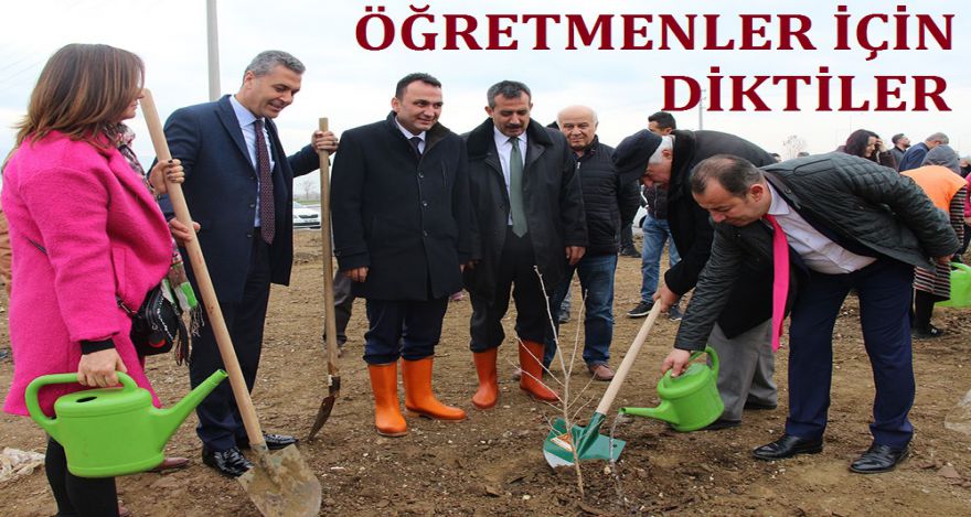 ÖĞRETMENLER İÇİN DİKTİLER