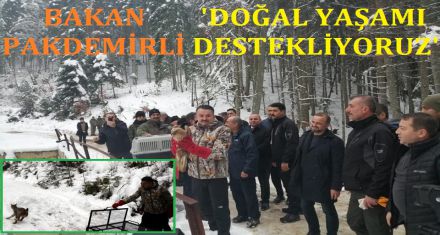 PAKDEMİRLİ BOLU'DA DOĞAYLA BÜTÜNLEŞTİ 