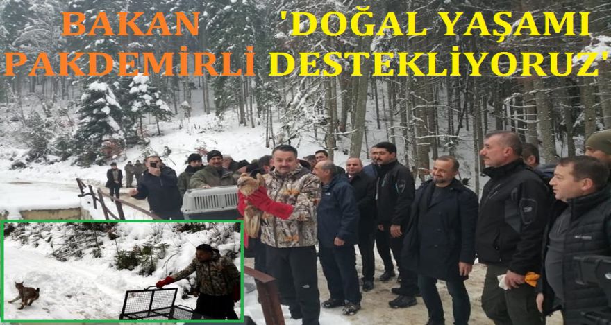 PAKDEMİRLİ BOLU'DA DOĞAYLA BÜTÜNLEŞTİ